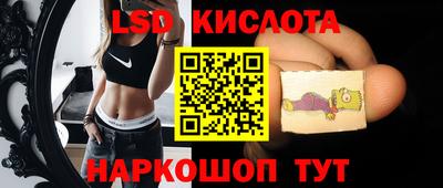 прущие грибы Кингисепп