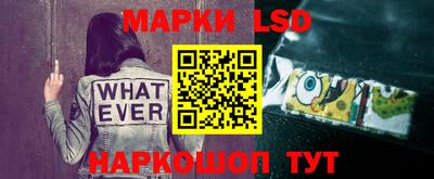 прущие грибы Кингисепп