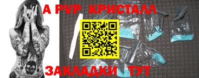 прущие грибы Кингисепп