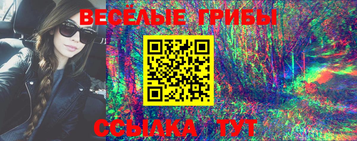 Псилоцибиновые грибы Psilocybe  Галлюциногенные грибы ЛСД  Красноармейск  Вход с VPN 